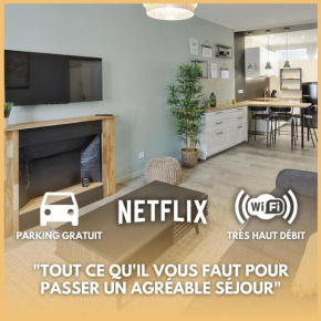 Centre-ville - Fibre - Netflix - T2 L'ISAC